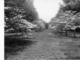 A Wonderful Ardentown History Stroll